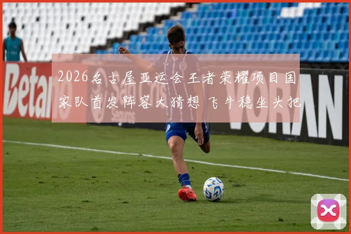 2026名古屋亚运会王者荣耀项目国家队首发阵容大猜想 飞牛稳坐头把交椅